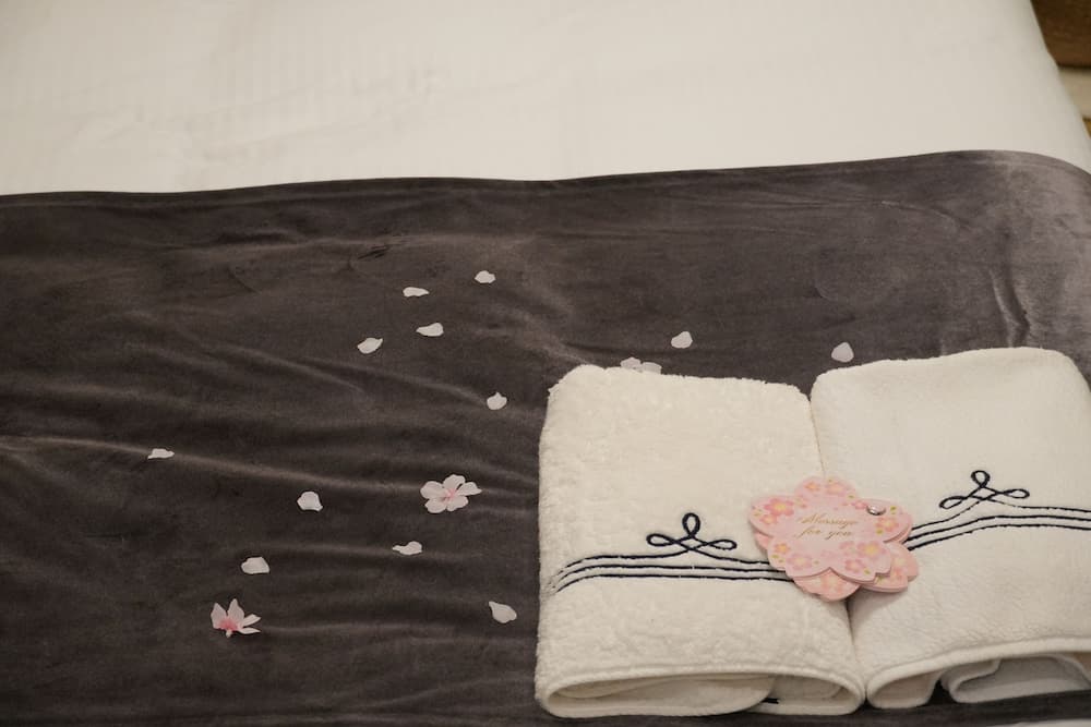 Kyo-wa Hotel Kinshicho, Tokyo, photo 3