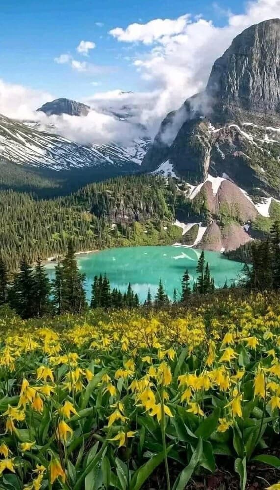Paradise Park, East Glacier Park, photo 6