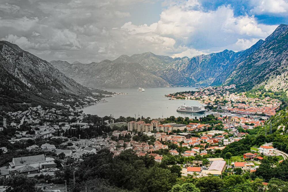 Vinograd, Kotor, photo 3