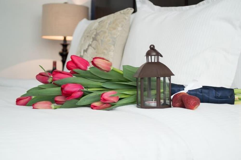 Suites Berna Doce, Mexico City, photo 2