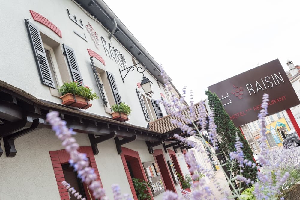 Logis les Cepages-Restaurant le Raisin, Pont-de-Vaux