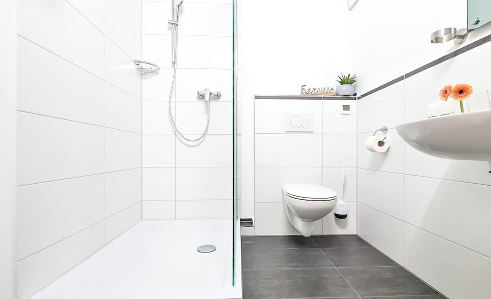 Zimmer ROSS, Hohenlinden, photo 2