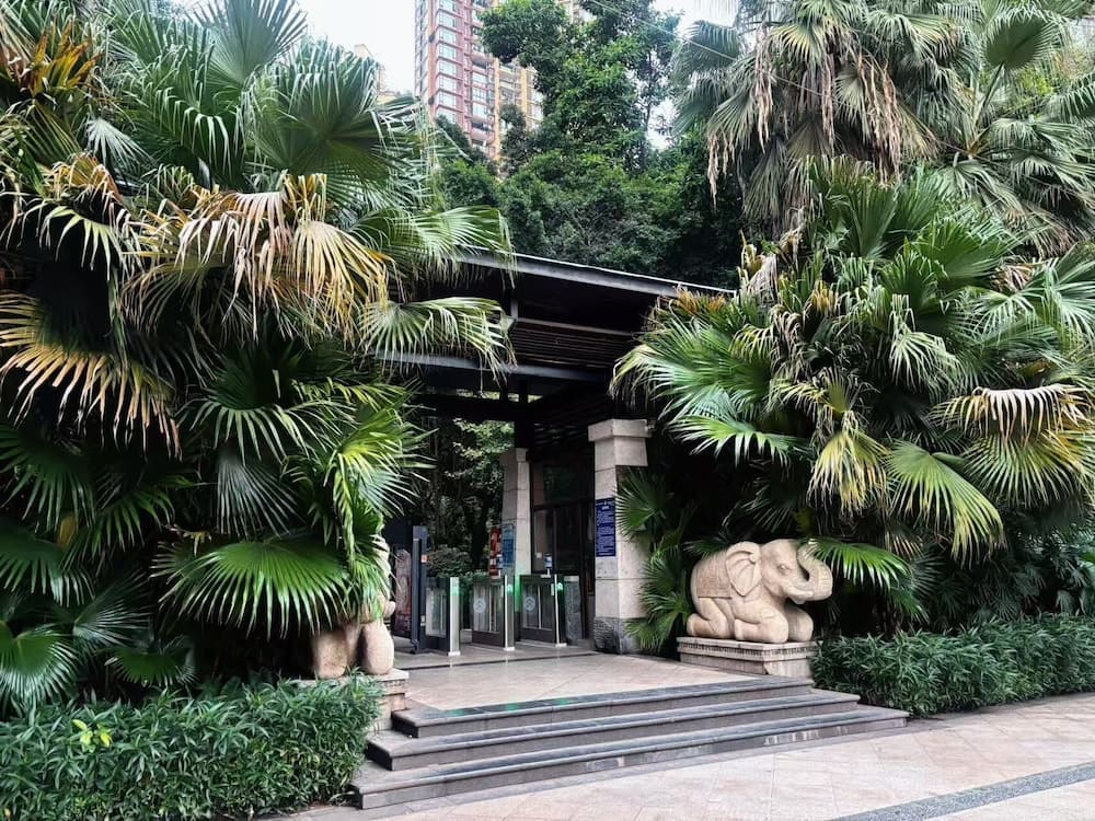 Deer's Return - Riverside Summer Homestay - Beibin Road, Chongqing, photo 6