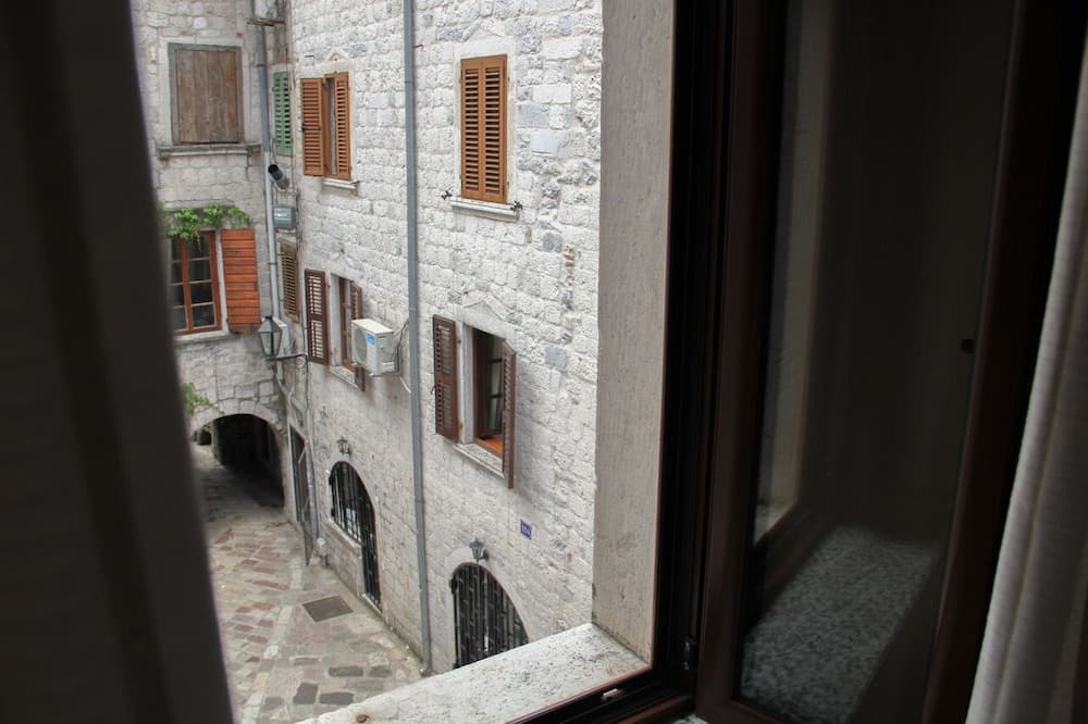 Vinograd, Kotor, photo 6