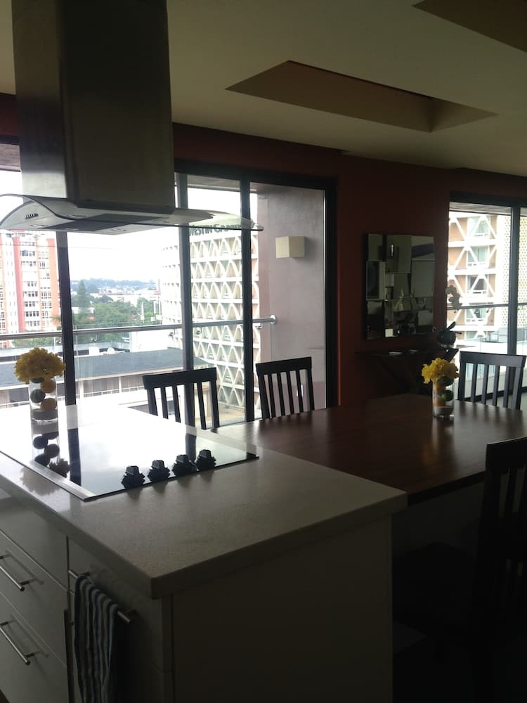 Terra apartment, Guatemala City, photo 4