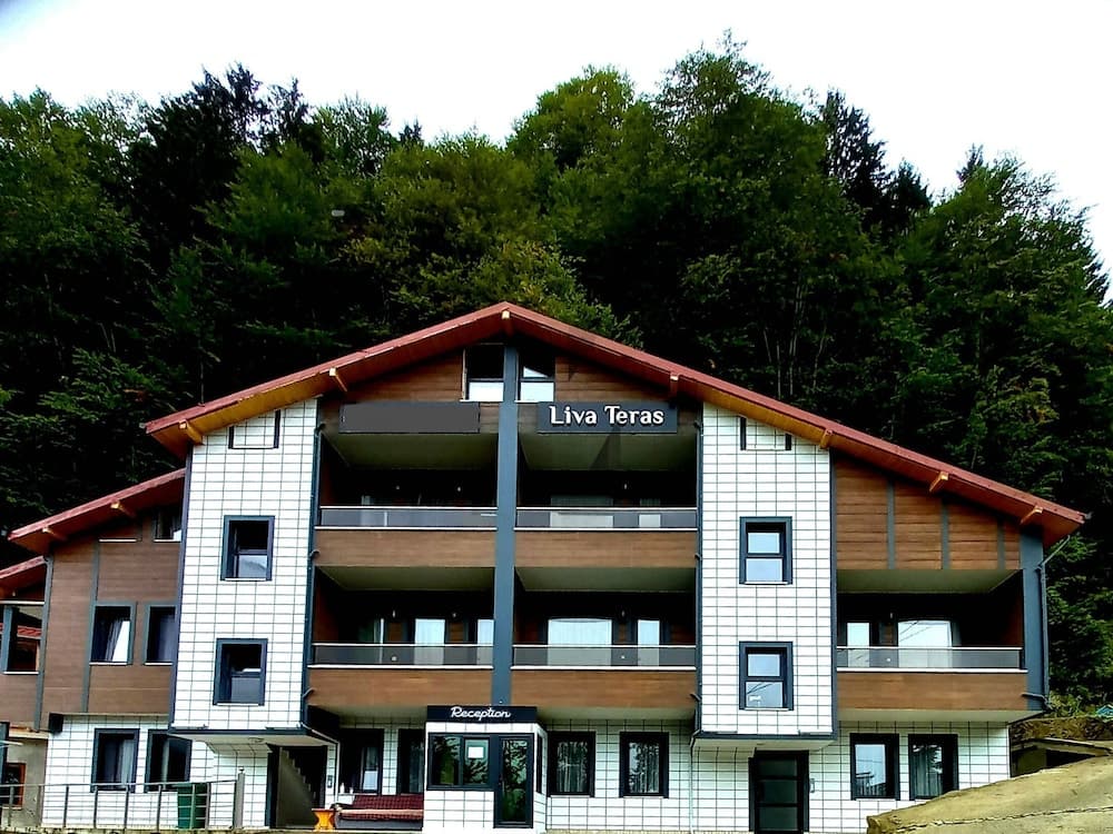 Liva Teras, Çaykara