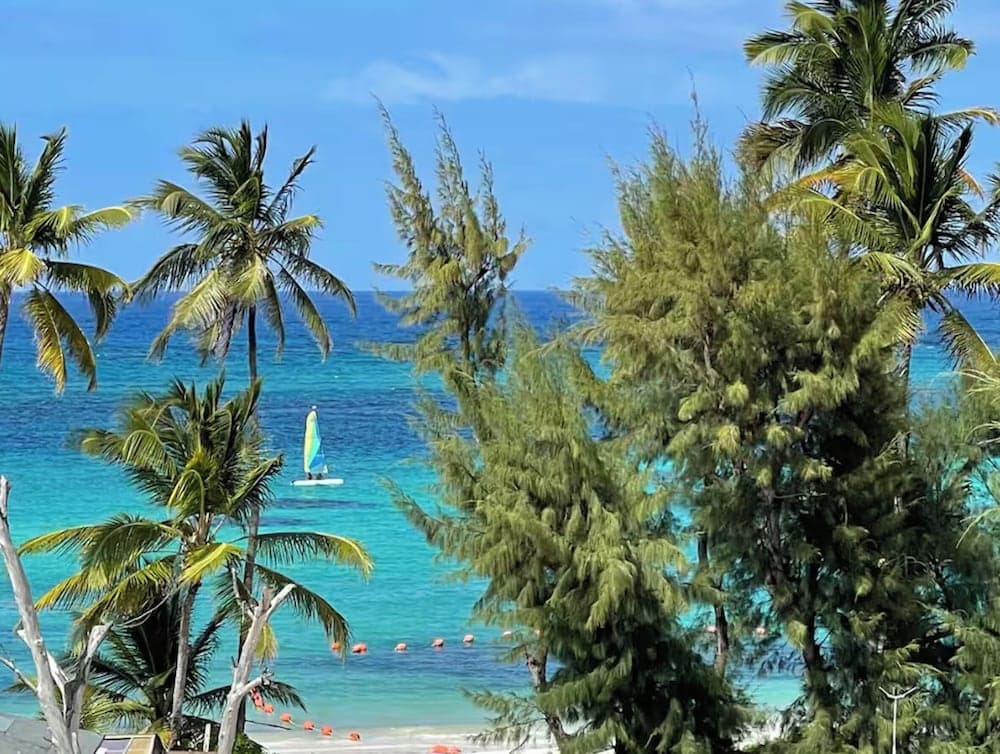TROPICAL RETREAT at PLAYA LOS CORALES, Punta Cana, photo 4