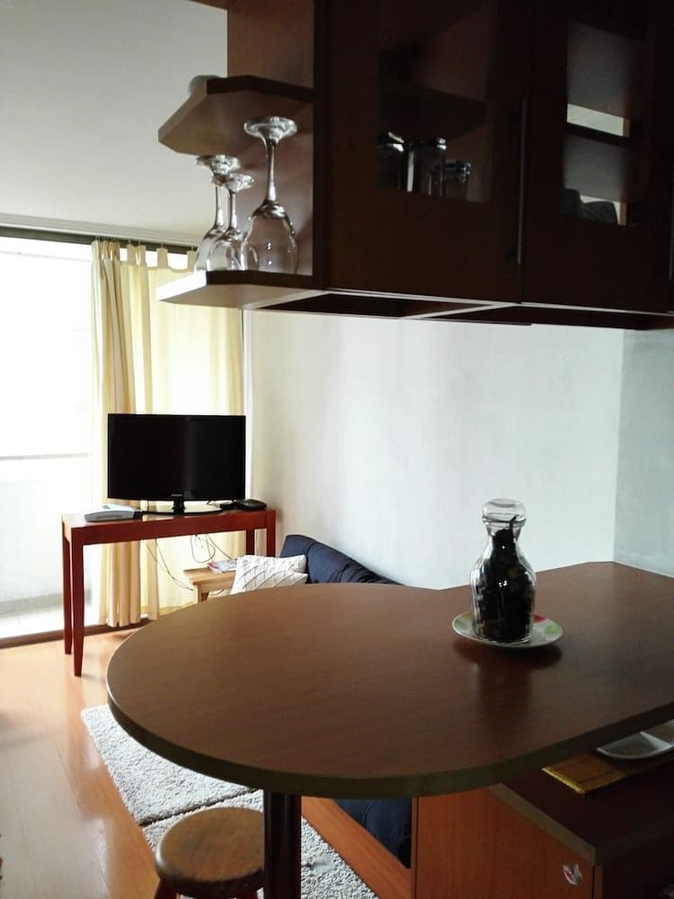 Deptos Providencia SM, Santiago, photo 5