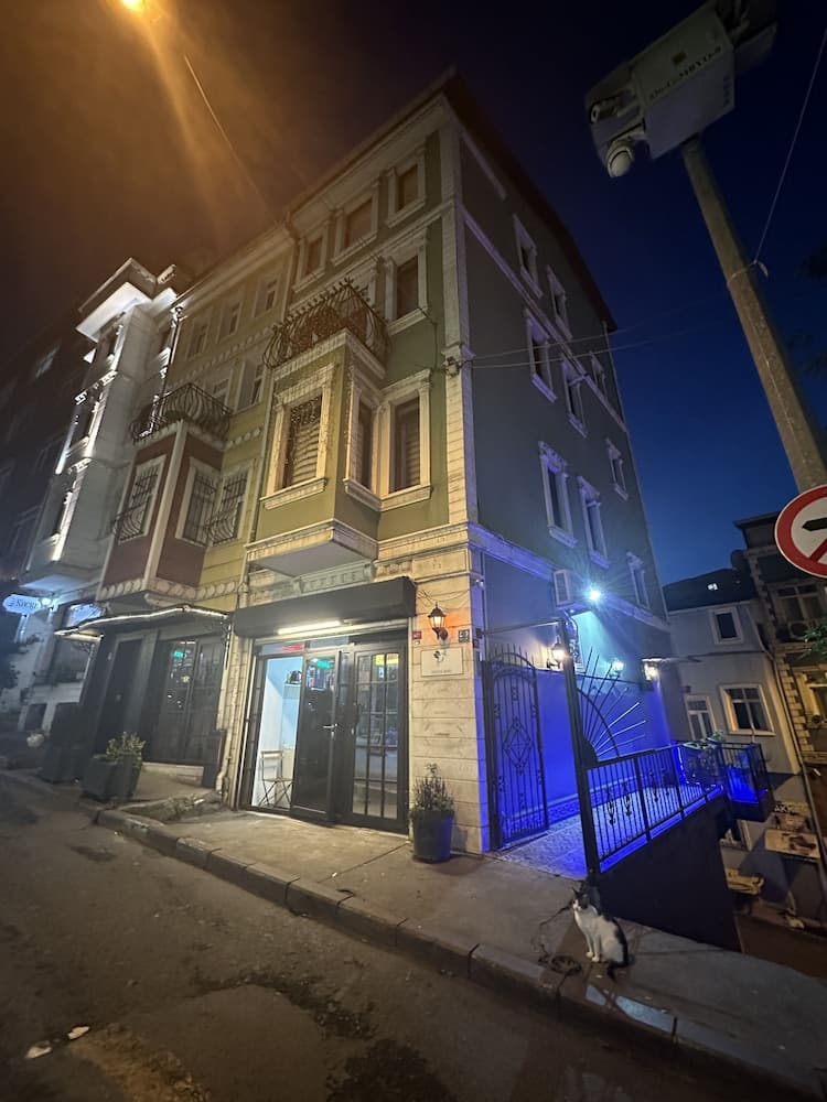 Green Bird Suit, Istanbul
