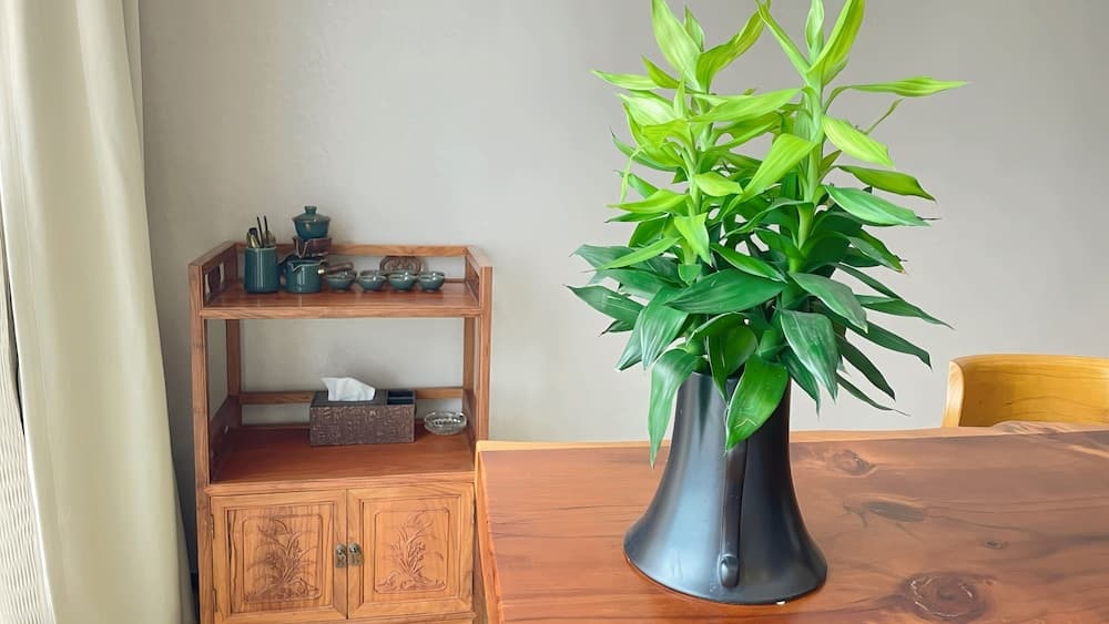 Xingyi International Hotel Poly Store, Guangzhou, photo 4