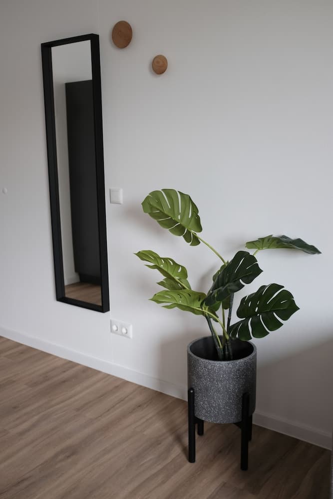 aparthotel glück auf Düppelstrasse, photo 5