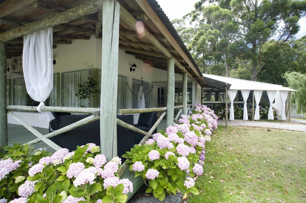 SOLANAS PUNTA DEL ESTE & CRYSTAL BEACH, Punta Ballena, photo 2