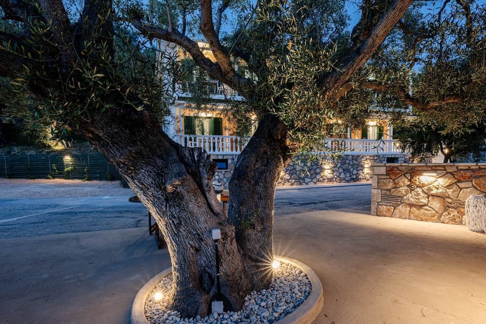 Elia Studios Zakynthos, Zakynthos, photo 2