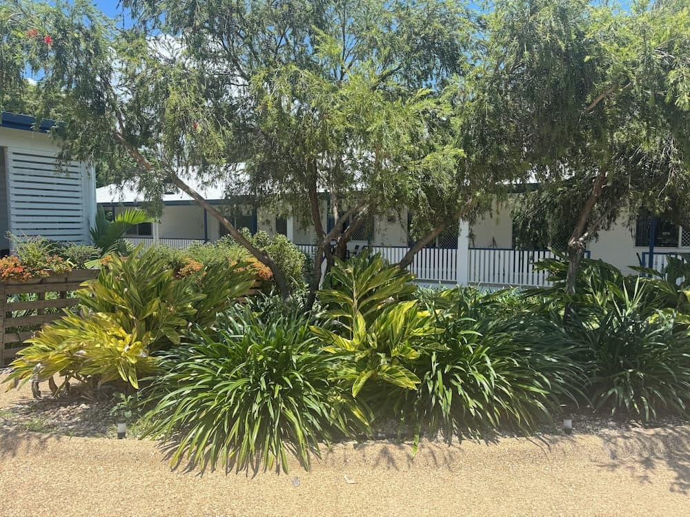 QCWA Kissing Point Units, North Ward, photo 6