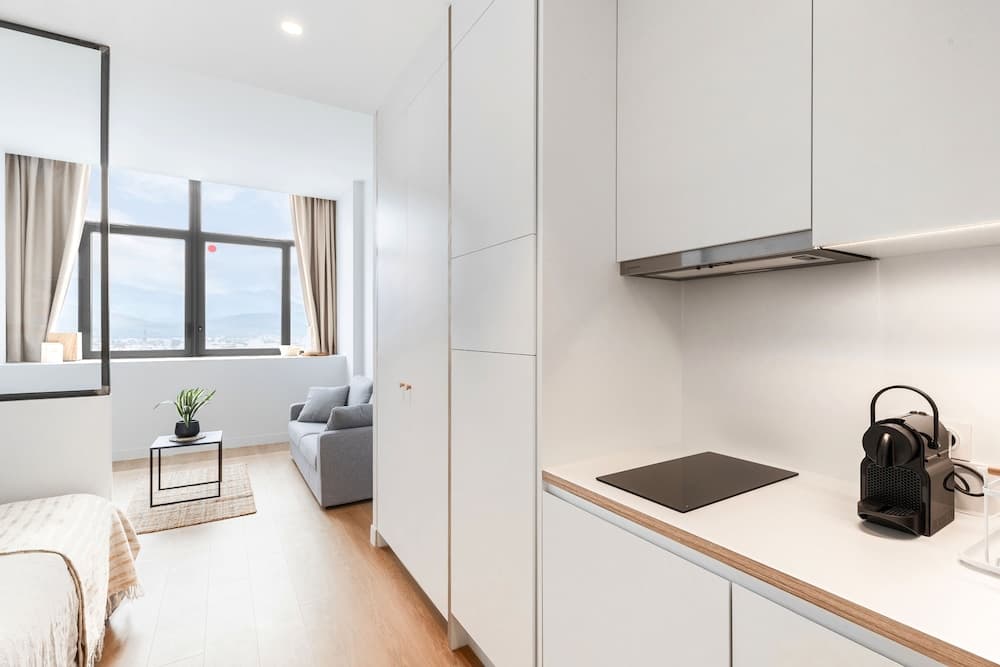 Les Appartements de Grenoble, Grenoble, photo 3