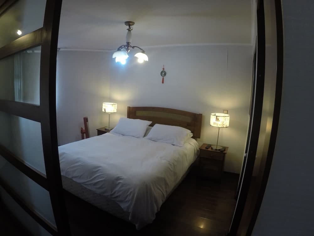Apartamentos Chilenos, Santiago, photo 4