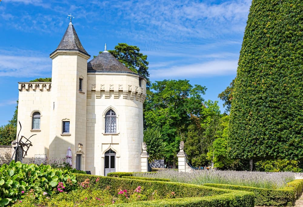 Château de Candes Art et Spa, Candes-Saint-Martin