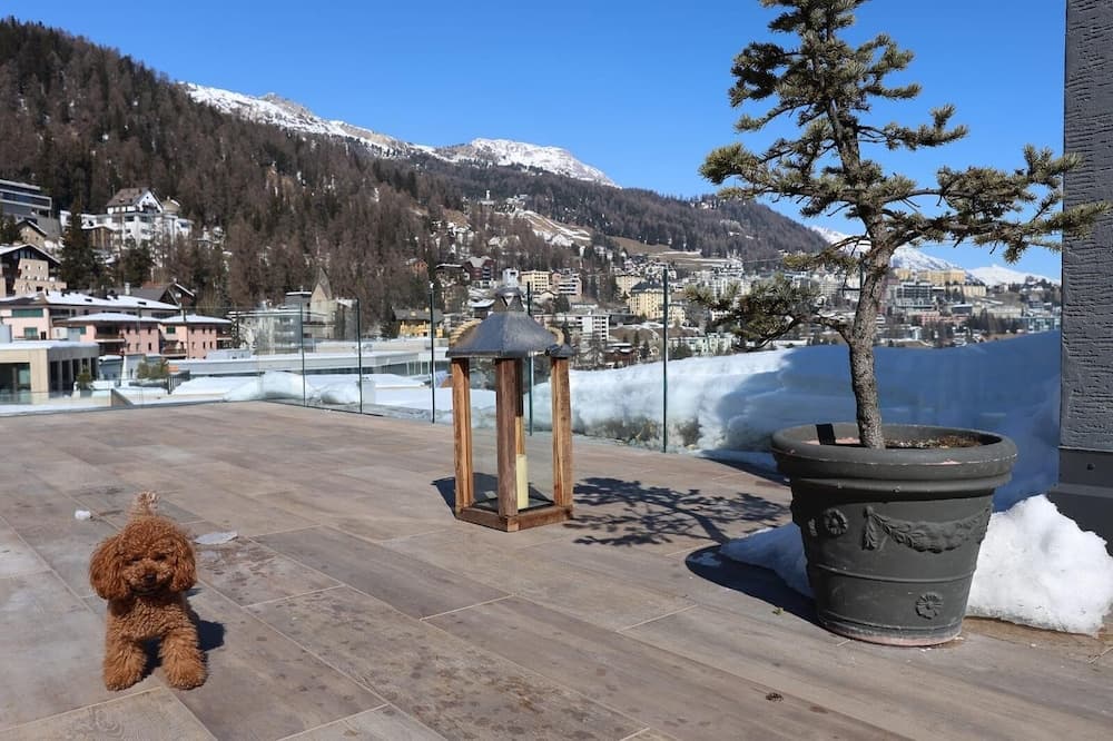 Silver Apartments St Moritz, St. Moritz, photo 5