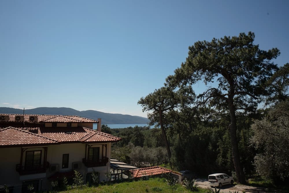 Alp Suites Pinehill, Ula