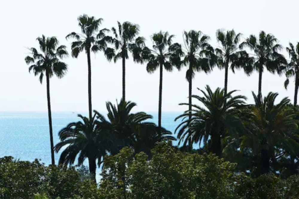 Villa d'Estelle Cannes, Cannes, photo 5