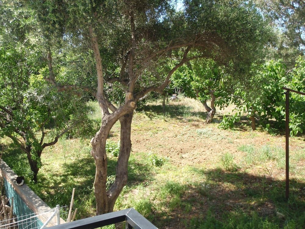Niriis Hotel, Chania, photo 4