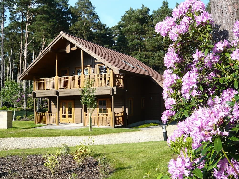 The Dorset Resort, photo 1