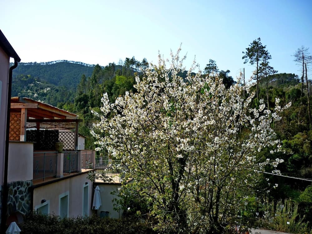 Resort Costa Morroni, Levanto, photo 6