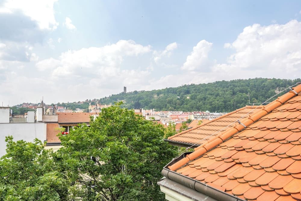 Janáčkovo nábřeží - Riverside Residence, Prague, photo 6
