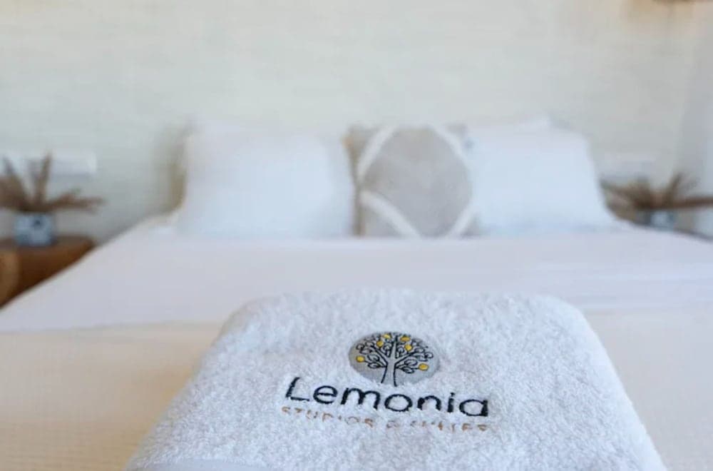 Lemonia Suites With Outdoor BBQ Area, Naxos, photo 2