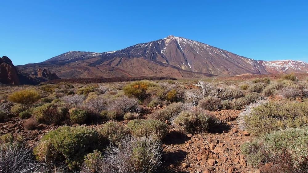 Royal Sun Resort, Santiago del Teide, photo 3