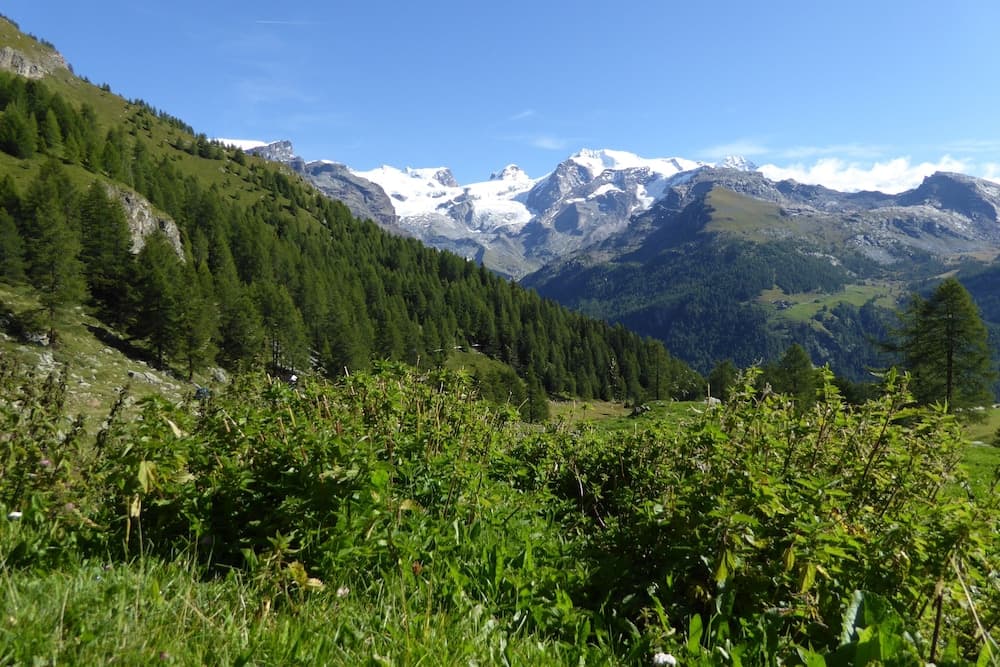 Le Chalet, Ayas