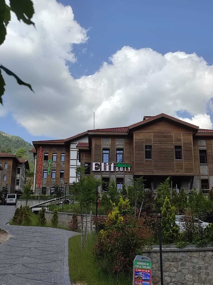 Ayder Elif Apart Daire, Rize