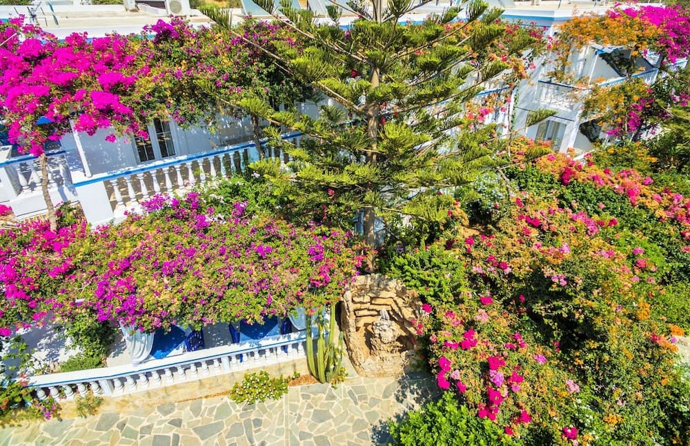 Angelika, Leros, photo 6