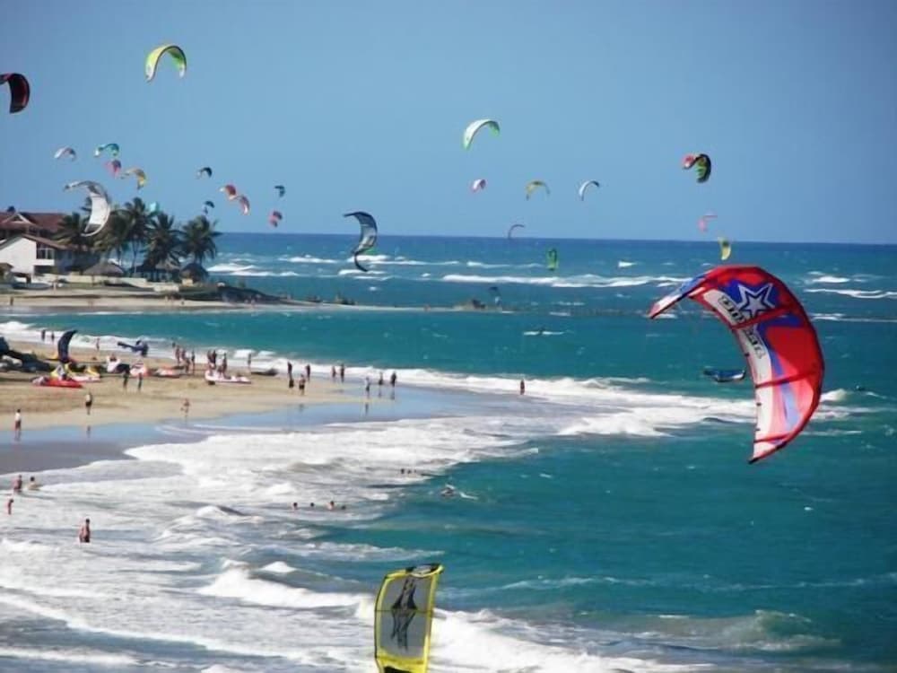 Areca, Cabarete