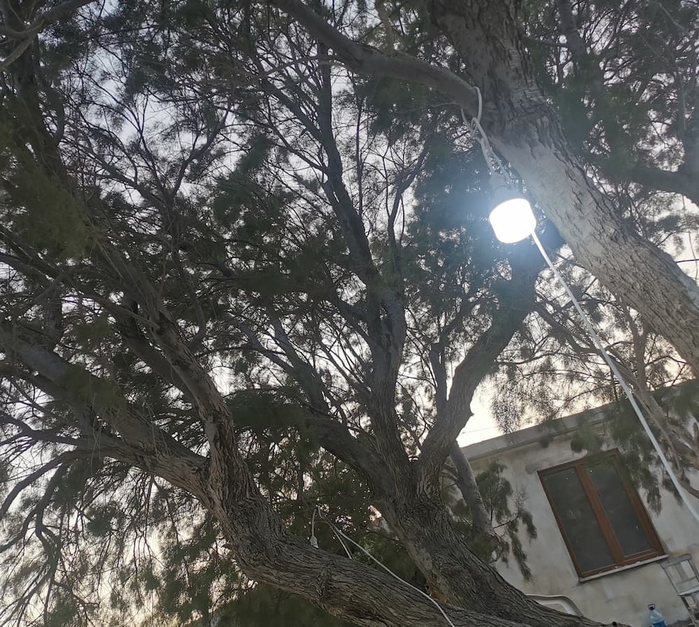 BAĞLARÖZÜ APART, Datça, photo 5