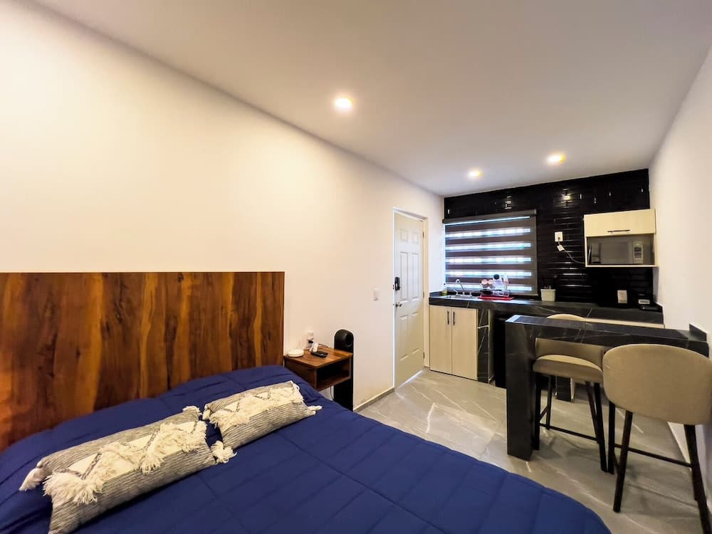 Lofts Arsénico, San Luis Potosi, photo 6