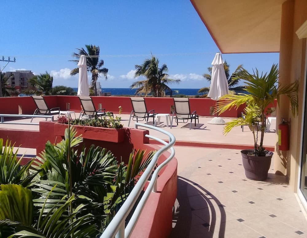 Casa Misifus, Barra de Navidad, photo 6