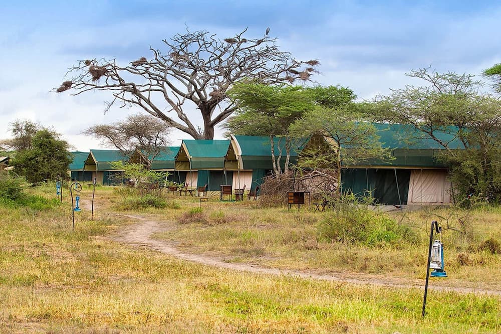 Anmut, Dar es Salaam