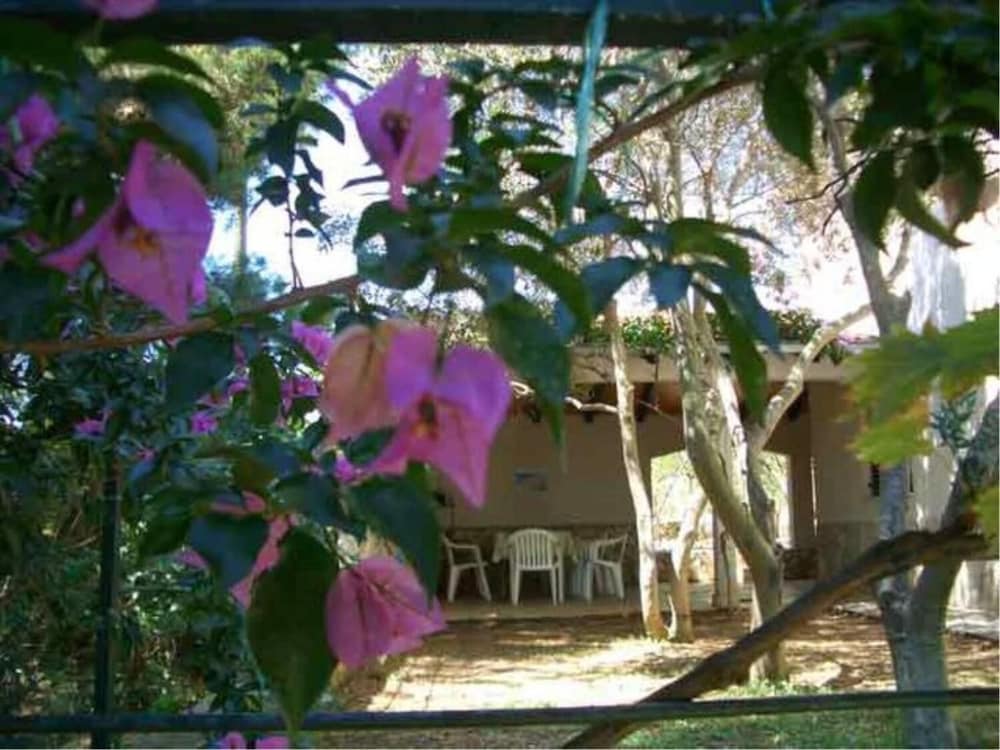 Vis Apartments, Vis, photo 6