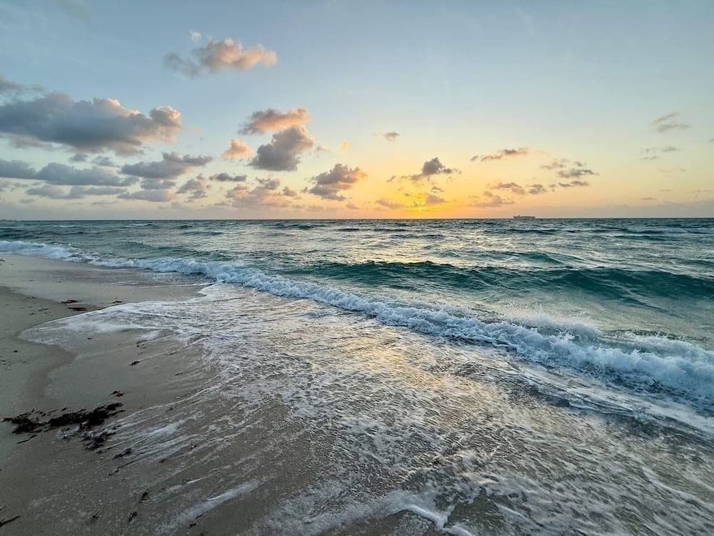 Bahama Beach Club Pompano, Pompano Beach, photo 6