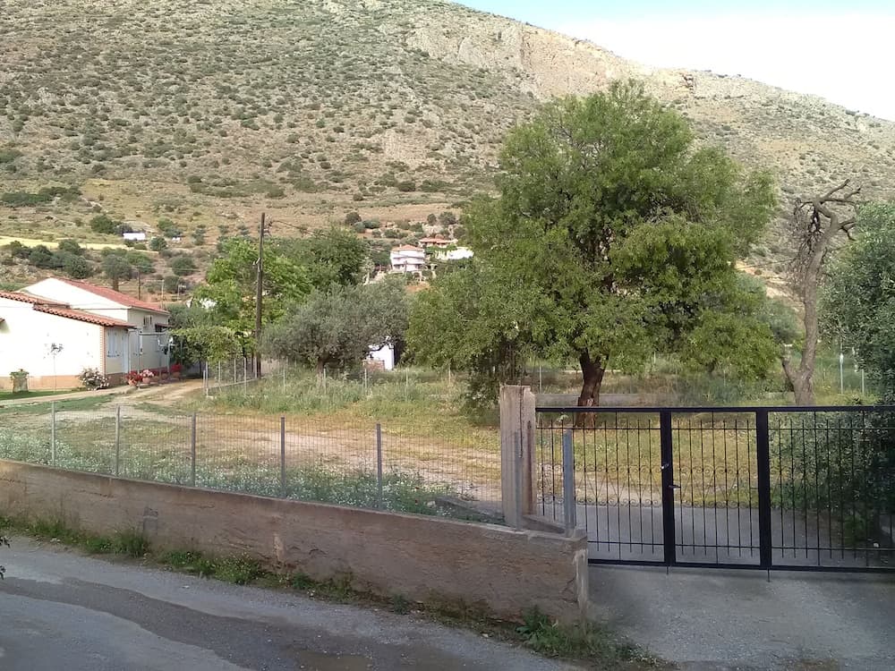 Hotel Galaxias, Delphi, photo 6