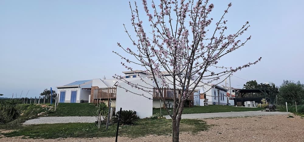 Quinta da Bornacha, Vila Real de Santo António