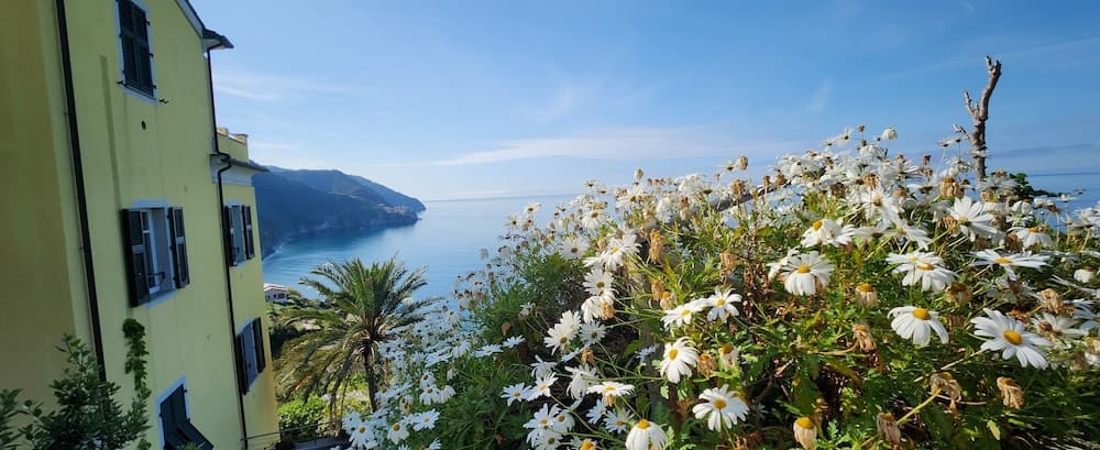 Hanging Garden with Air Conditioning, Vernazza, photo 3