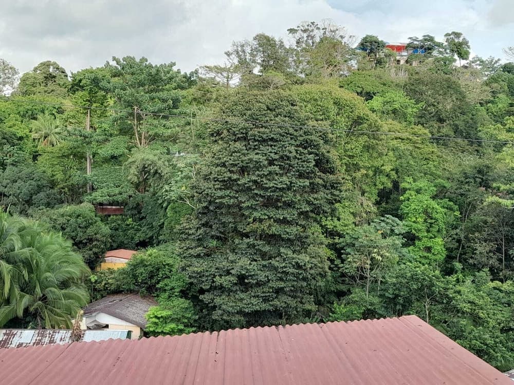 Natural Pacific Suites, Quepos, photo 5