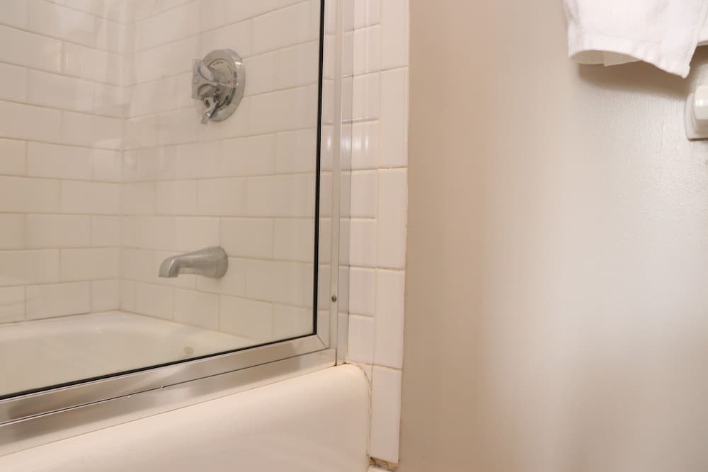 Maverick Suites at 402 Columbus Ave, Boston, photo 3