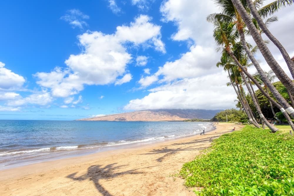 Sugar Beach Resort, Kihei, photo 4