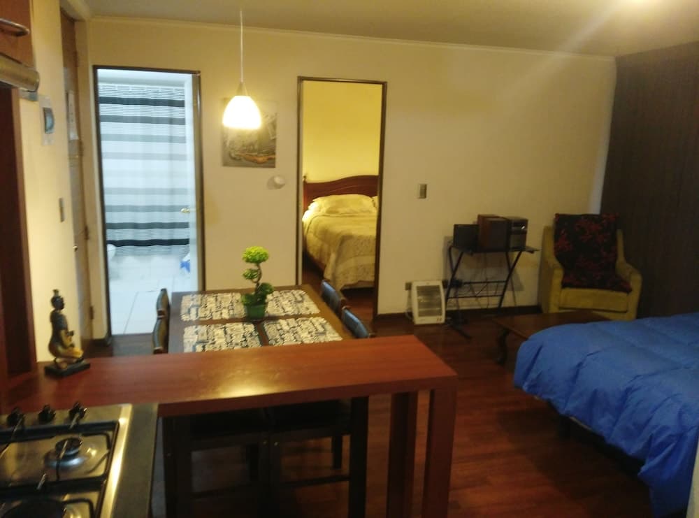 Apartamentos Chilenos, Santiago, photo 6