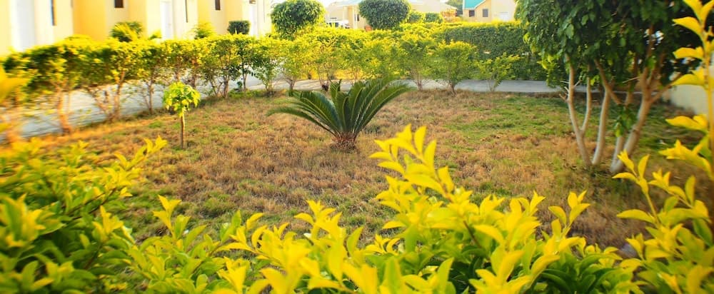 Odivin Hotel Luxury Suite, Gonaives, photo 3