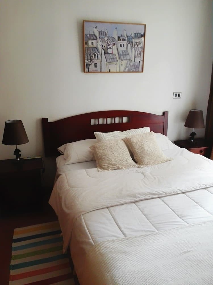 Deptos Providencia SM, Santiago, photo 6