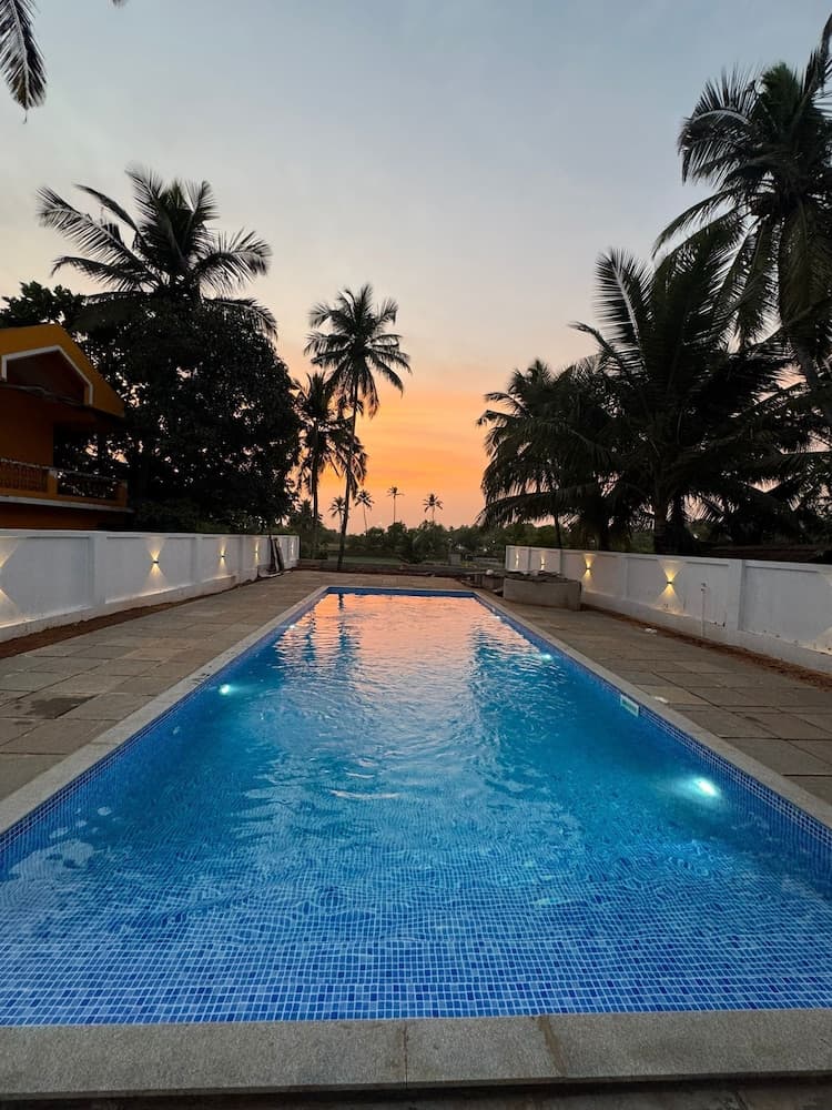 Mistral by the Sea, Benaulim, photo 2